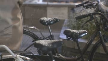 【今シーズン初】名古屋で積雪1センチ