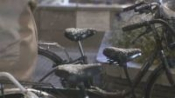 【今シーズン初】名古屋で積雪1センチ