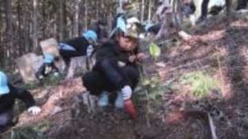 保育園児が育てた苗木の植樹行われる　ツバキや桜など４種類　三重・尾鷲市