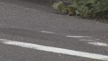 ひき逃げの疑いで男を逮捕　「怖くなって逃げた」と容疑を認める　愛知・大府市