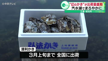 “幻のかき”が出荷最盛期　汽水湖でまろやかに　三重・紀北町