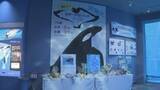 「”国内唯一のオス”シャチ「アース」死ぬ　多くのファンが別れを惜しむ　名古屋港水族館」の画像1