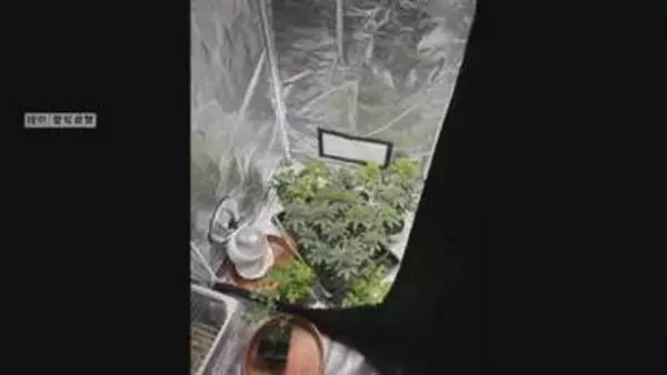 自宅で大麻数百グラムを販売目的で所持した疑いで男を逮捕　愛知・新城市
