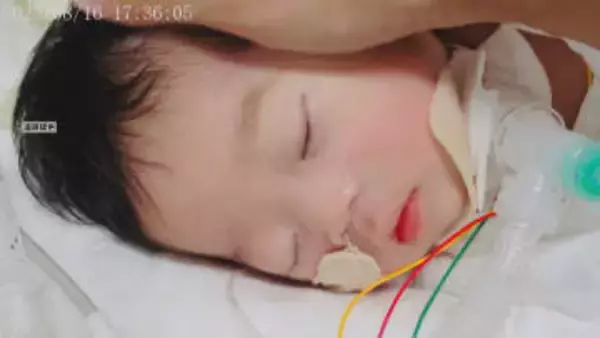 “胎児も被害者”法制度の見直しを国に求める意見書　12月議会での提出見送り 「内容を精査する必要」 愛知県議会