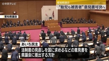 「胎児も被害者」意見書が可決の見通し　法制度の見直しを国に求めるなどの内容　妊婦がはねられ死亡し事故後に生まれた子どもに障害が残った事故を受け