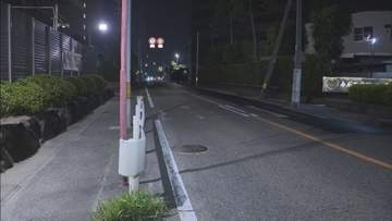 岡崎市でひき逃げ事件　横断歩道で男性がはねられ重傷か