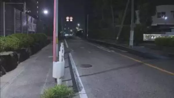 岡崎市でひき逃げ事件　横断歩道で男性がはねられ重傷か