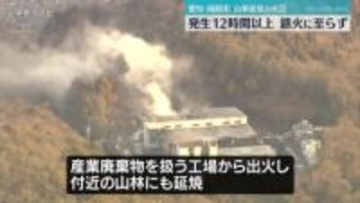 産業廃棄物工場から出火　付近の山林にも延焼　12時間以上経過も鎮火せず消火活動が続く　愛知・岡崎市（13日午前11時40分現在）
