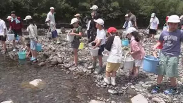 小・中学生が地元の赤羽川に稚アユを放流　三重・紀北町　アユ釣りは6月1日に解禁
