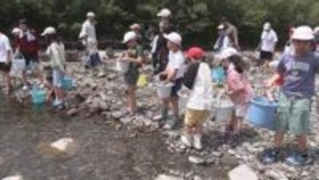 小・中学生が地元の赤羽川に稚アユを放流　三重・紀北町　アユ釣りは6月1日に解禁