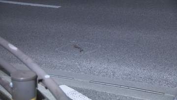 原付バイクと軽乗用車の事故　70代ぐらいの男性重体　愛知・豊田市