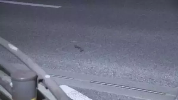 原付バイクと軽乗用車の事故　70代ぐらいの男性重体　愛知・豊田市