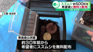 スズムシ約500匹を希望者に無料で配布　三重・紀北町