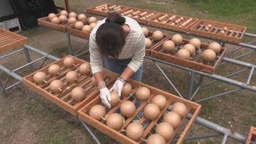 夏の“大花火大会”に向けて準備着々…　約8000発の花火作り最盛期　三重・熊野市