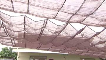 保育園の超大がかり新対策　梅雨間近も続く日差しとの闘い　 愛知・東海市