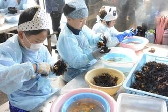 大久喜小の全校児童がウニ殻むき体験