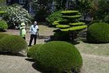 「八戸南部氏庭園、春の一般公開始まる」の画像1