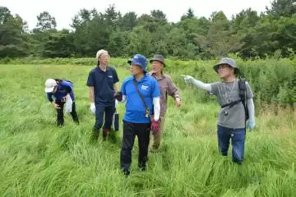 ぼんてん山の植生に理解　出戸地区で植物観察会／六ケ所