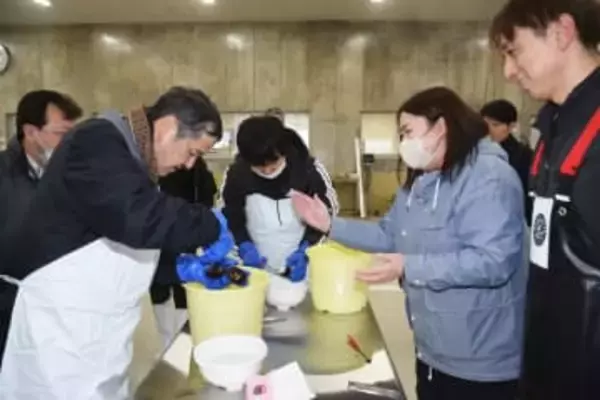 ウニ殻むき体験、取れたて「おいしい」　大畑町漁協がモニターツアー