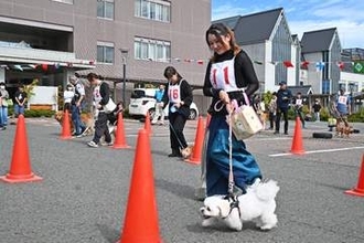 「ワンちゃんともっと仲良く」　動物愛護フェスで愛犬と運動会／二戸