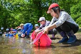 ヒメマス「大きくなってね」　十和田湖に児童ら稚魚34万匹放流