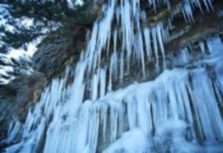 氷柱のオブジェ出現　洋野町種市の海岸、寒さで急成長