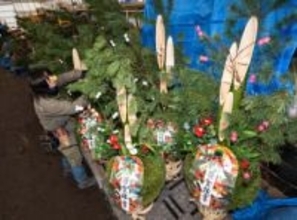 「より良い年に」願い込め　門松作り大詰め／八戸