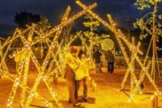 温かな光、優美な空間演出　ミチル種差（八戸）、竹あかりプロジェクト