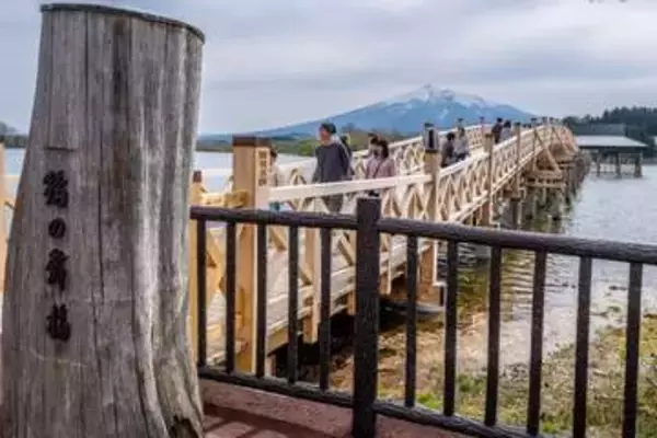 「鶴の舞橋」改修完了　観光客ら“渡り初め”　長さ日本一の木造三連太鼓橋