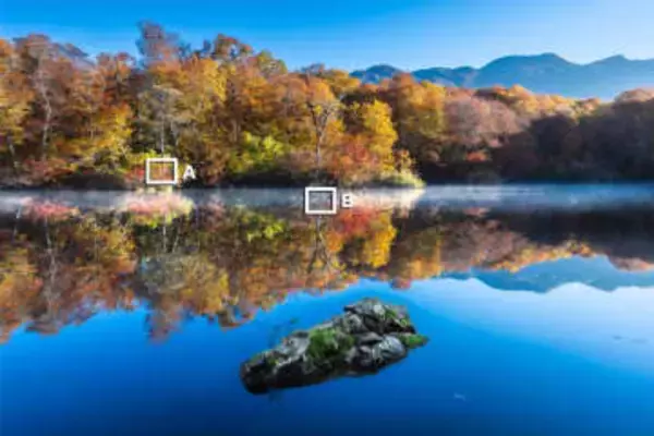 何がすごいの？ キヤノンのアプリ Vol.05 Neural network Image Processing Tool×長谷川ルウ 風景をクリアにして解像感をアップさせたい[Sponsored]