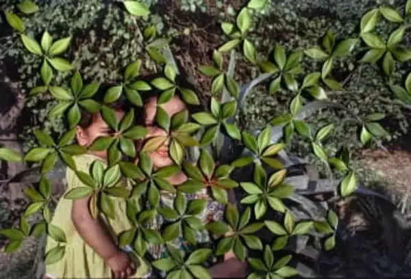 ライカによる女性写真家のための助成プログラムが開始　第1回「LOBA Women Grant」、2月11日（水）から応募受付