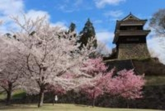 上田城の千本桜がライトアップ　宿泊の割引キャンペーンも