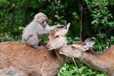 「希望（HOPE） ～みんなで考える動物の未来～」の画像1