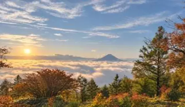 山梨県韮崎市で「甘利山」へ向かうタクシーが運行中。富士山と紅葉が織りなす秋の絶景を