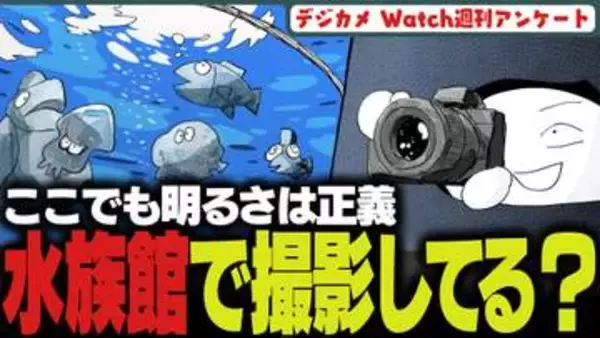 週刊アンケート：【質問】水族館で撮影している？
