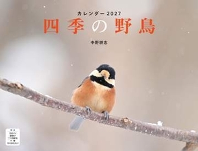 ユキホオジロやメグロなどの希少種も…月めくりカレンダー「四季の野鳥」　写真家・中野耕志氏が撮影