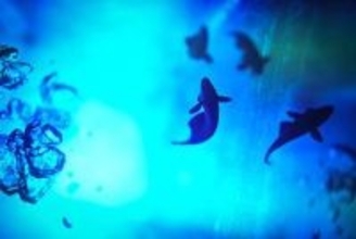 水咲奈々写真展：Gradually