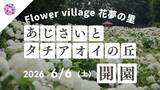 「初夏の花を楽しむイベント「あじさいとタチアオイの丘」が開催中」の画像1