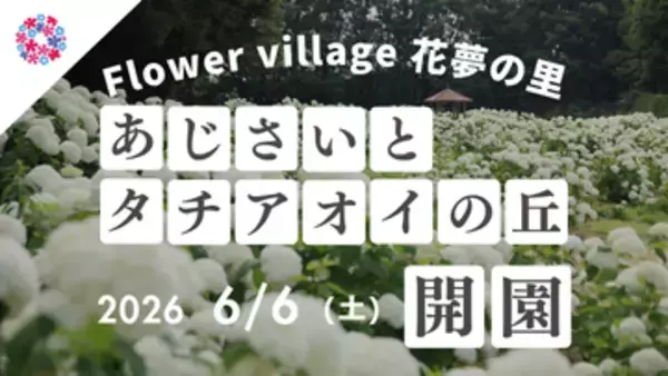 初夏の花を楽しむイベント「あじさいとタチアオイの丘」が開催中