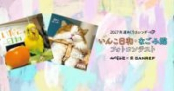 飼い主だからこそ撮れるインコ・猫のフォトコンテスト　入賞作品は2027年カレンダーに採用