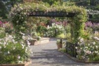 練馬区立 四季の香ローズガーデン、春バラが華やかに彩る中で開園10周年を迎える