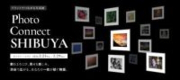 写真データをその場でプリント・展示してもらえる「プリントでつながる写真展」 「エプソンフォトグランプリ2025」の受賞作品も展示