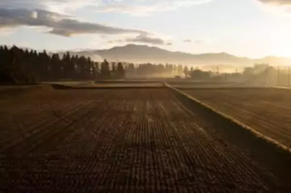 シグマが「米づくり」を開始　磐梯山の水と土で　従業員食堂で提供