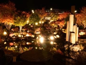ハーブ庭園 旅日記 富士河口湖庭園が紅葉のライトアップで幻想的な空間に