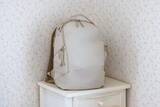 「デジカメアイテム丼：フットワークを妨げない、ちょうどいいサイズの軽量リュック「PGYTECH OneGo Lite Backpack 12L」」の画像1