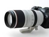 「交換レンズレビュー：キヤノン RF100-500mm F4.5-7.1 L IS USM　短期集中連載：100-400mm級フルサイズ望遠ズームレンズ（1）」の画像1