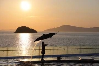 四国水族館で「Nightscapeこがねいろ2026」が開催中。夕暮れ時にイルカたちがパフォーマンスを繰り広げる