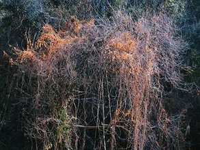 木村琢磨写真展：形而上下