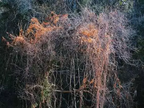木村琢磨写真展：形而上下