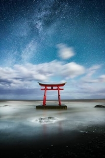 森田洋行写真展：“Where Light Becomes Color”